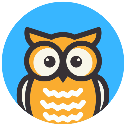 The Techie Owl